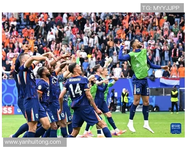 2002年荷兰足球队核心球员分析与表现回顾